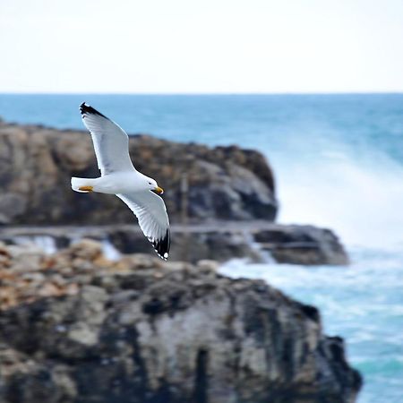 Casa Vacanza Leuca Леука Экстерьер фото